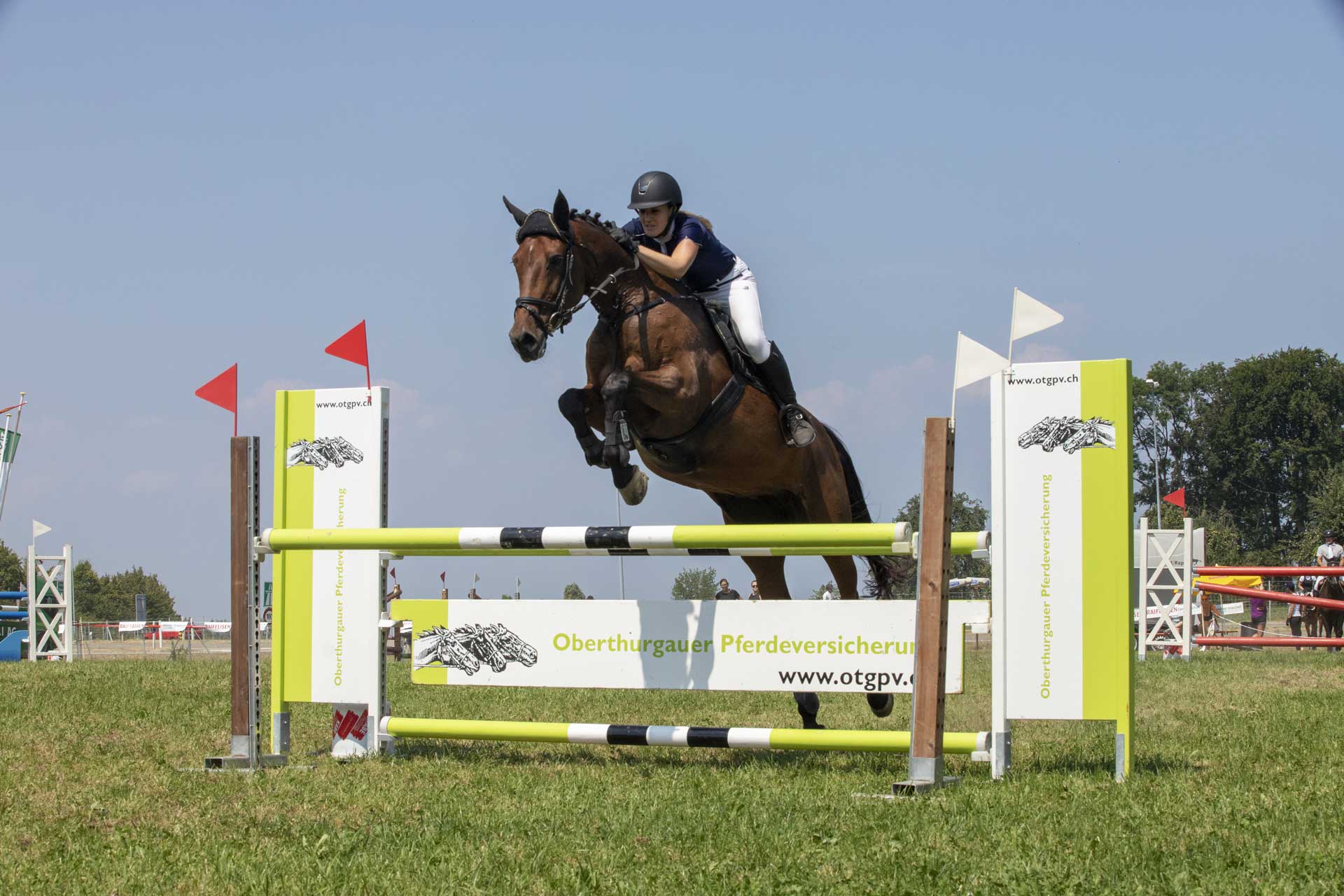 Bei uns in sicheren Händen - auch beim Spring-Reiten